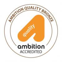 Ambition Quality Bronze